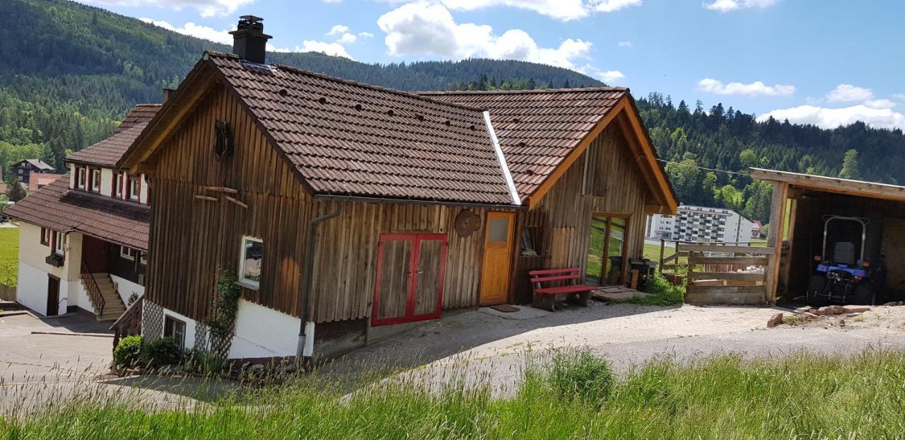 Ferienhof Ziegler- Sonnenschein Baiersbronn Exterior photo