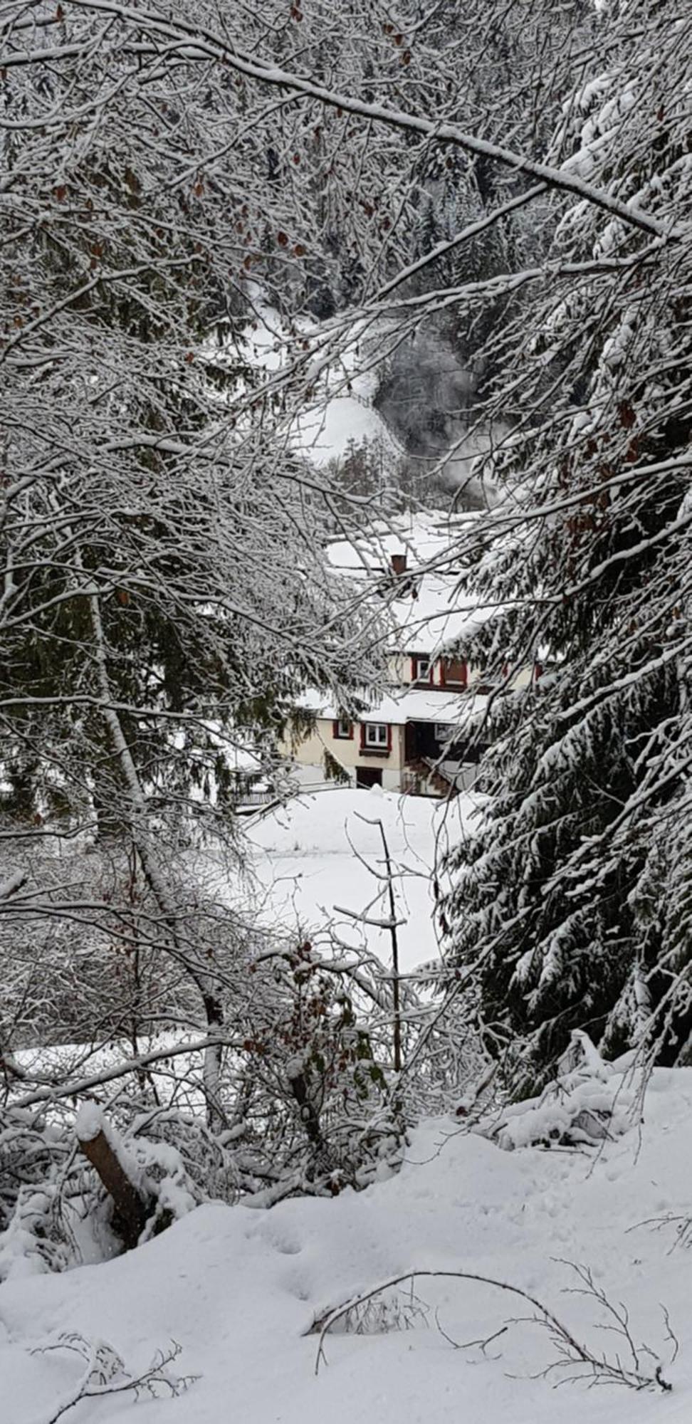 Ferienhof Ziegler- Sonnenschein Baiersbronn Exterior photo